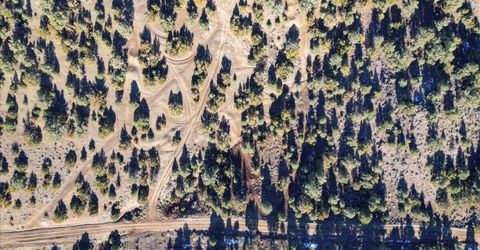 2120 Scorpion Road, Lot #212, Reno, NV 89521 Photo