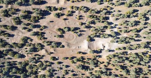 2120 Scorpion Road, Lot #212, Reno, NV 89521 Photo