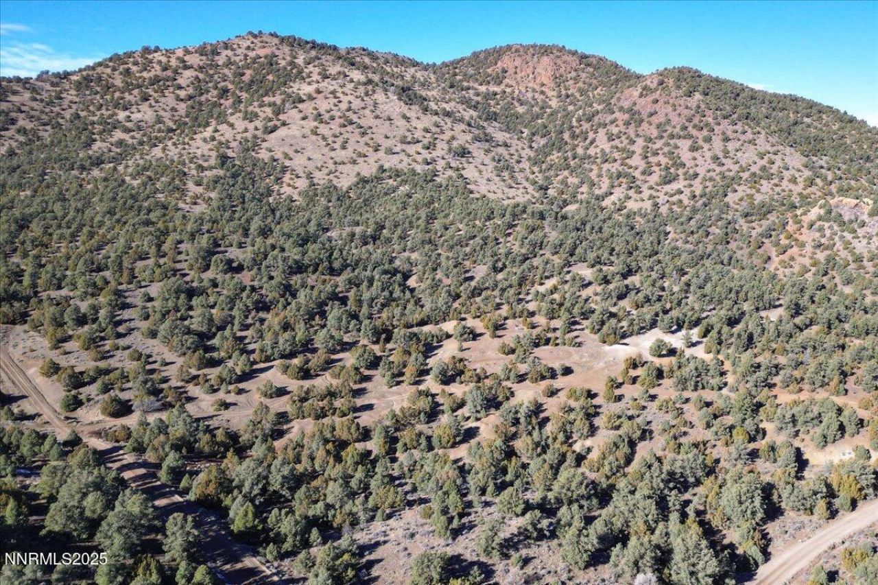 2120 Scorpion Road, Lot #212, Reno, NV 89521 Photo