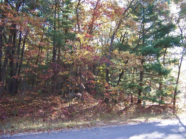 Lot 566 Winding Drive, Houghton Lake, MI 48629