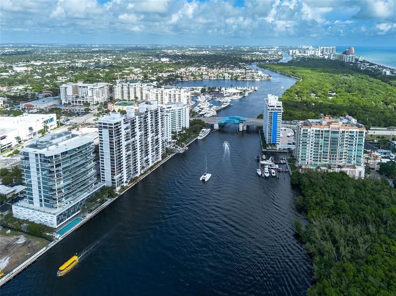 920 Intracoastal Drive, Unit 1502, Fort Lauderdale, FL 33304 Photo