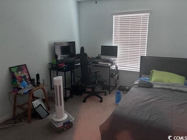 223 Hampton Park Circle Photo 13