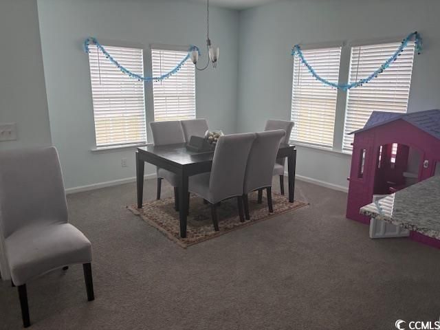 223 Hampton Park Circle Photo 6