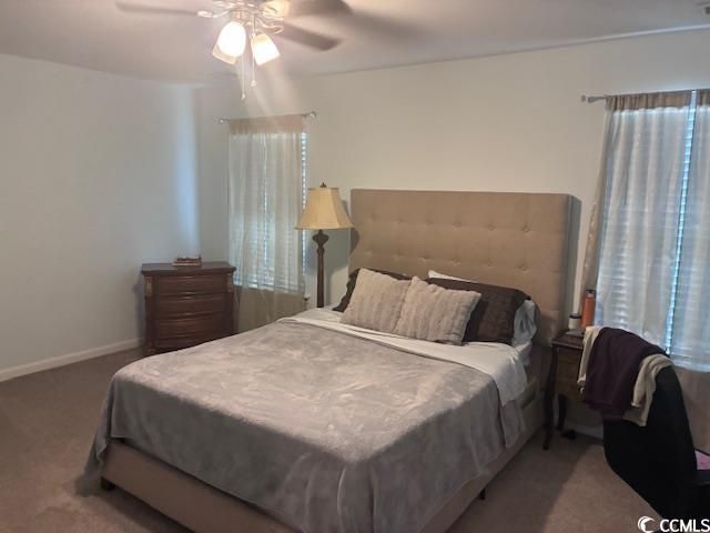 223 Hampton Park Circle Photo 9