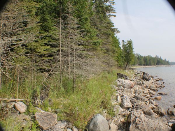 TBD S S Strach Row, Unit 9, Drummond Island, MI 49726