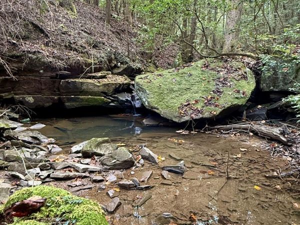 00 Braden Lane, Gruetli Laager, TN 37339