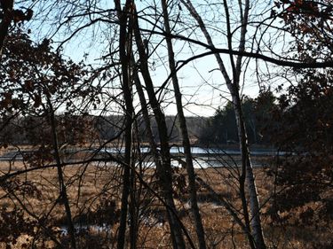 TBD Overland Drive, Browerville, MN 56438