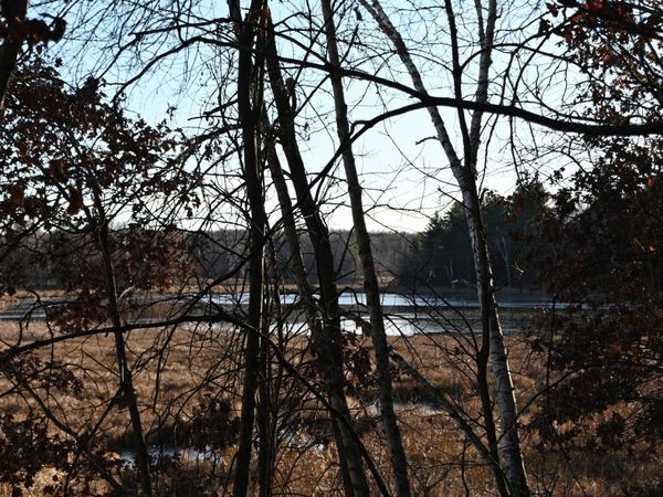 TBD Overland Drive, Browerville, MN 56438