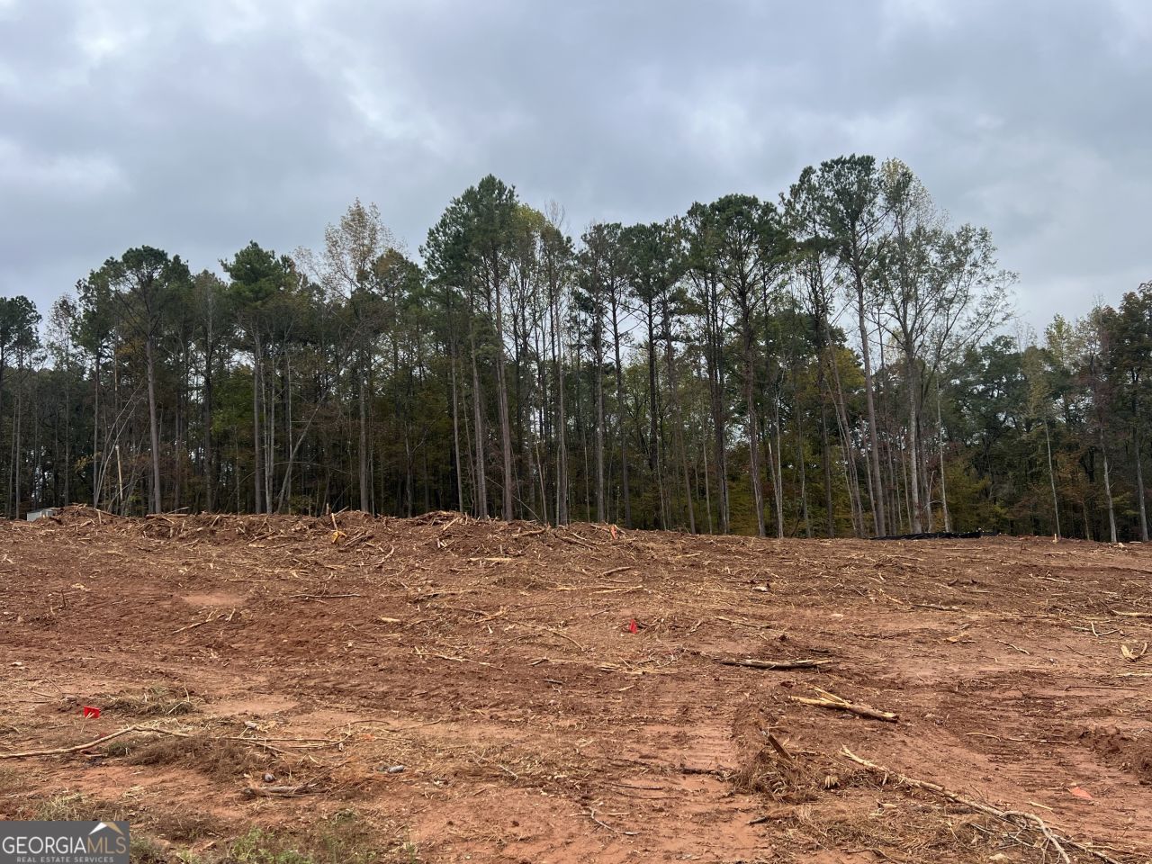 66 Tea House Lane, Unit 16, Newnan, GA 30263 Main Photo