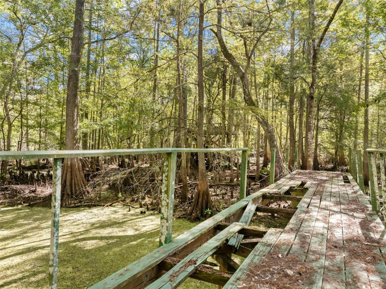 10750 E Sybil Court, Floral City, FL 34436 Photo