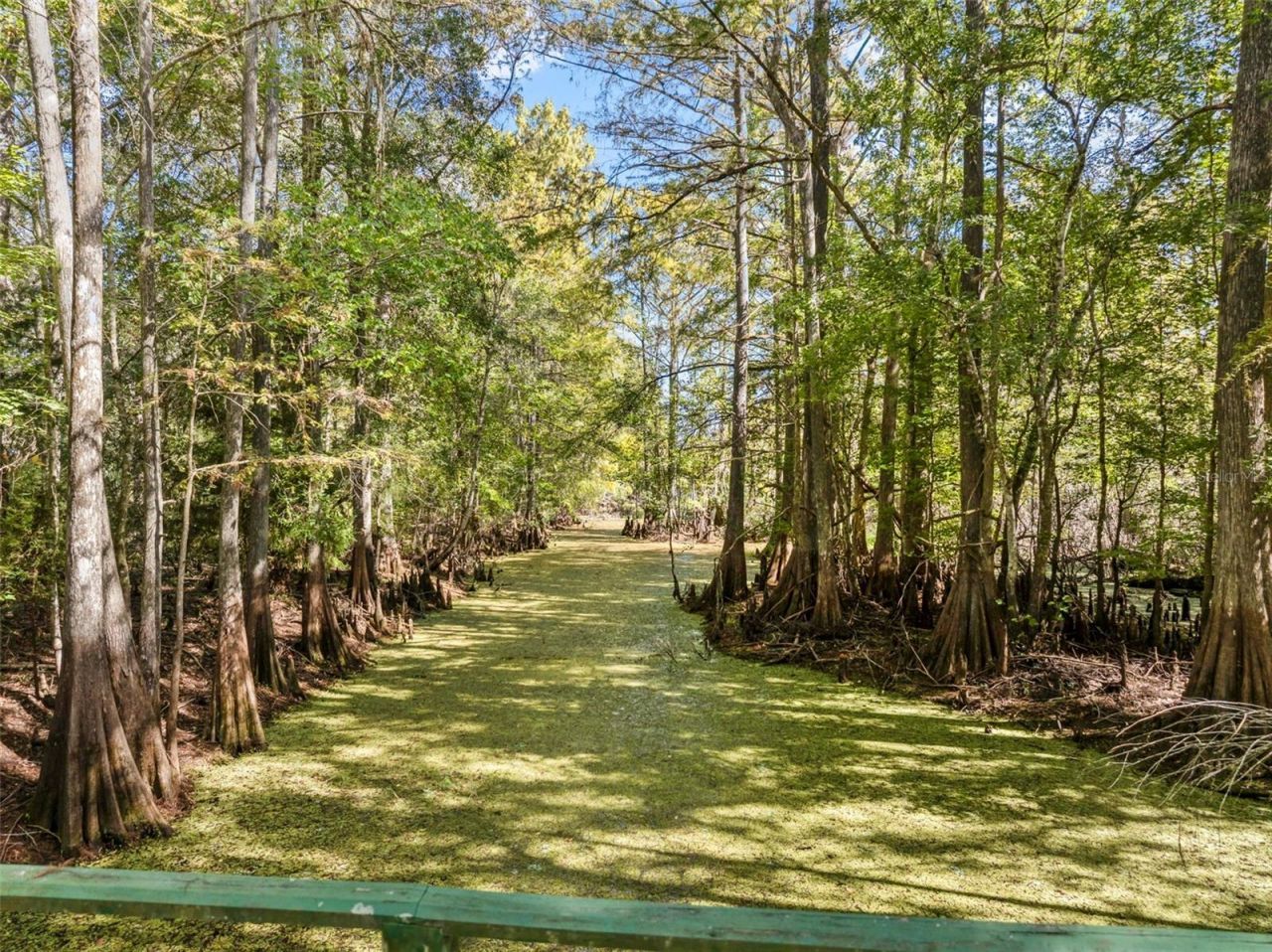 10750 E Sybil Court, Floral City, FL 34436 Photo