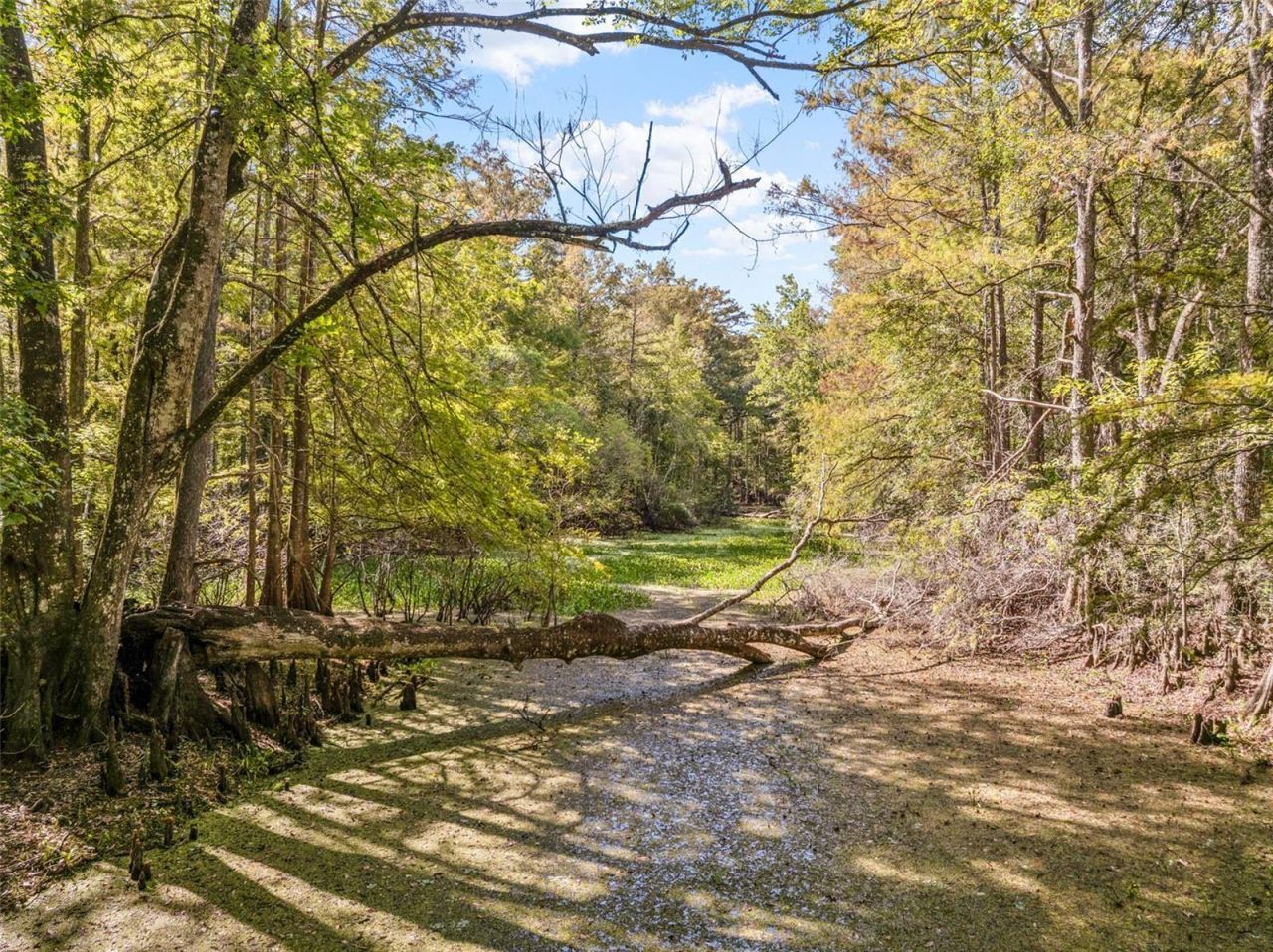 10750 E Sybil Court, Floral City, FL 34436 Photo