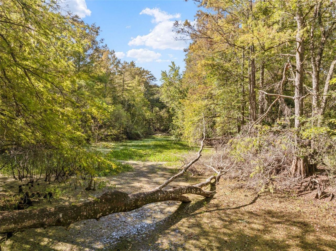 10750 E Sybil Court, Floral City, FL 34436 Photo