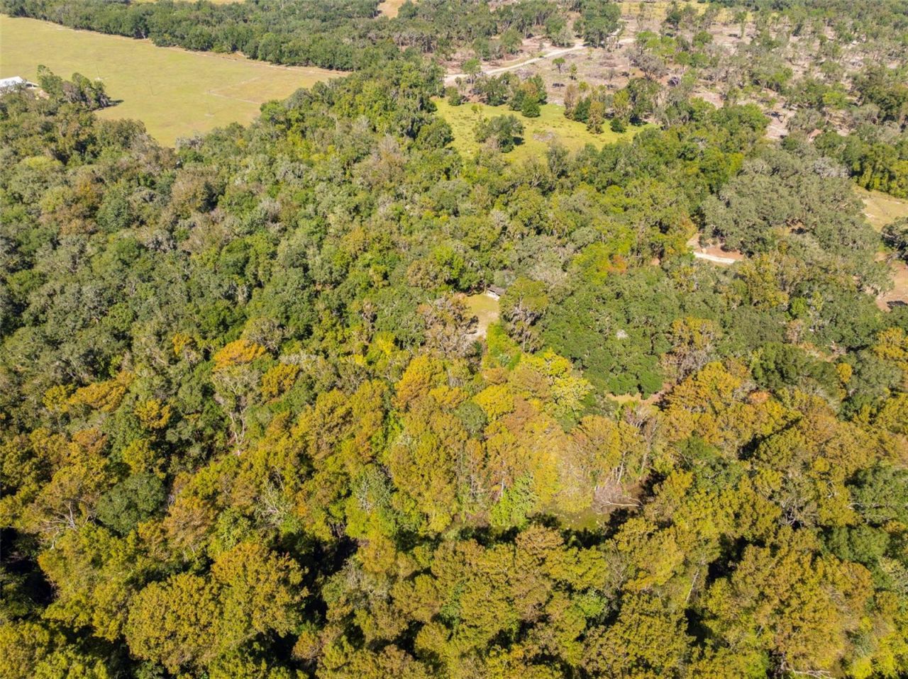 10750 E Sybil Court, Floral City, FL 34436 Photo