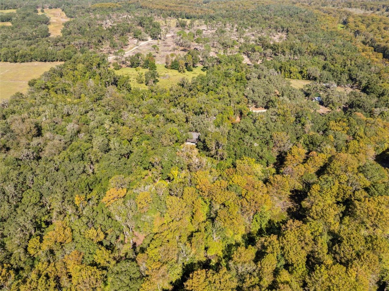 10750 E Sybil Court, Floral City, FL 34436 Photo