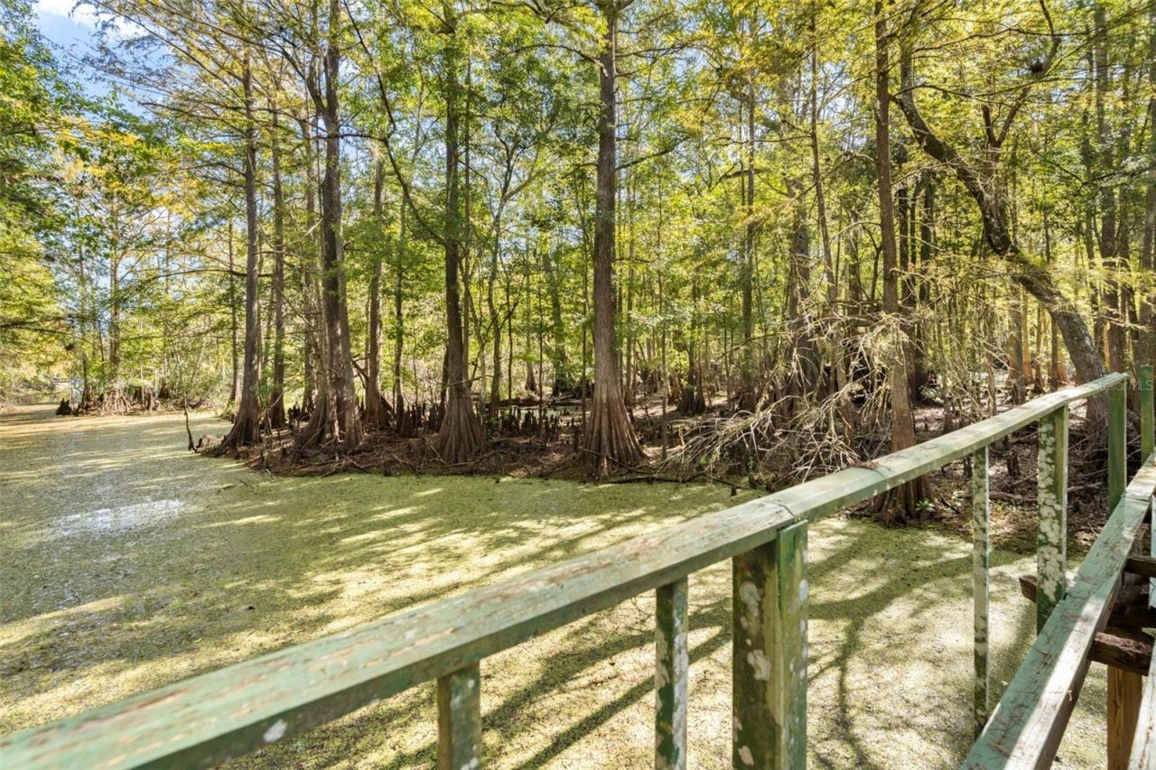 10750 E Sybil Court, Floral City, FL 34436 Photo