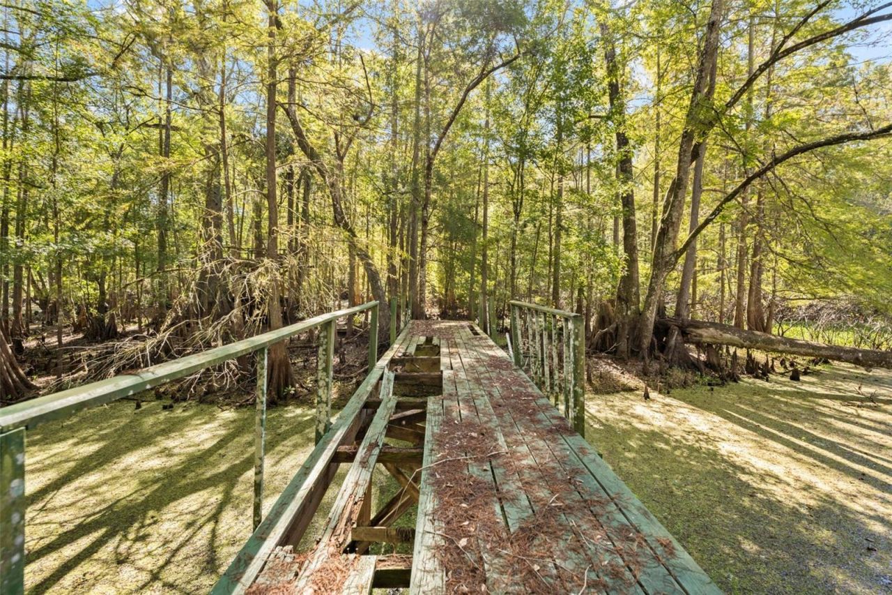 10750 E Sybil Court, Floral City, FL 34436 Photo