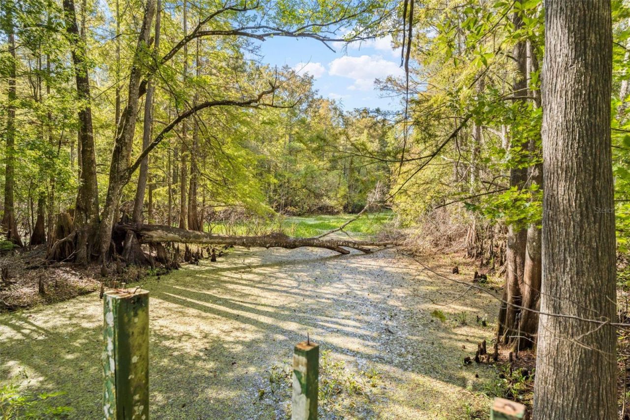 10750 E Sybil Court, Floral City, FL 34436 Photo