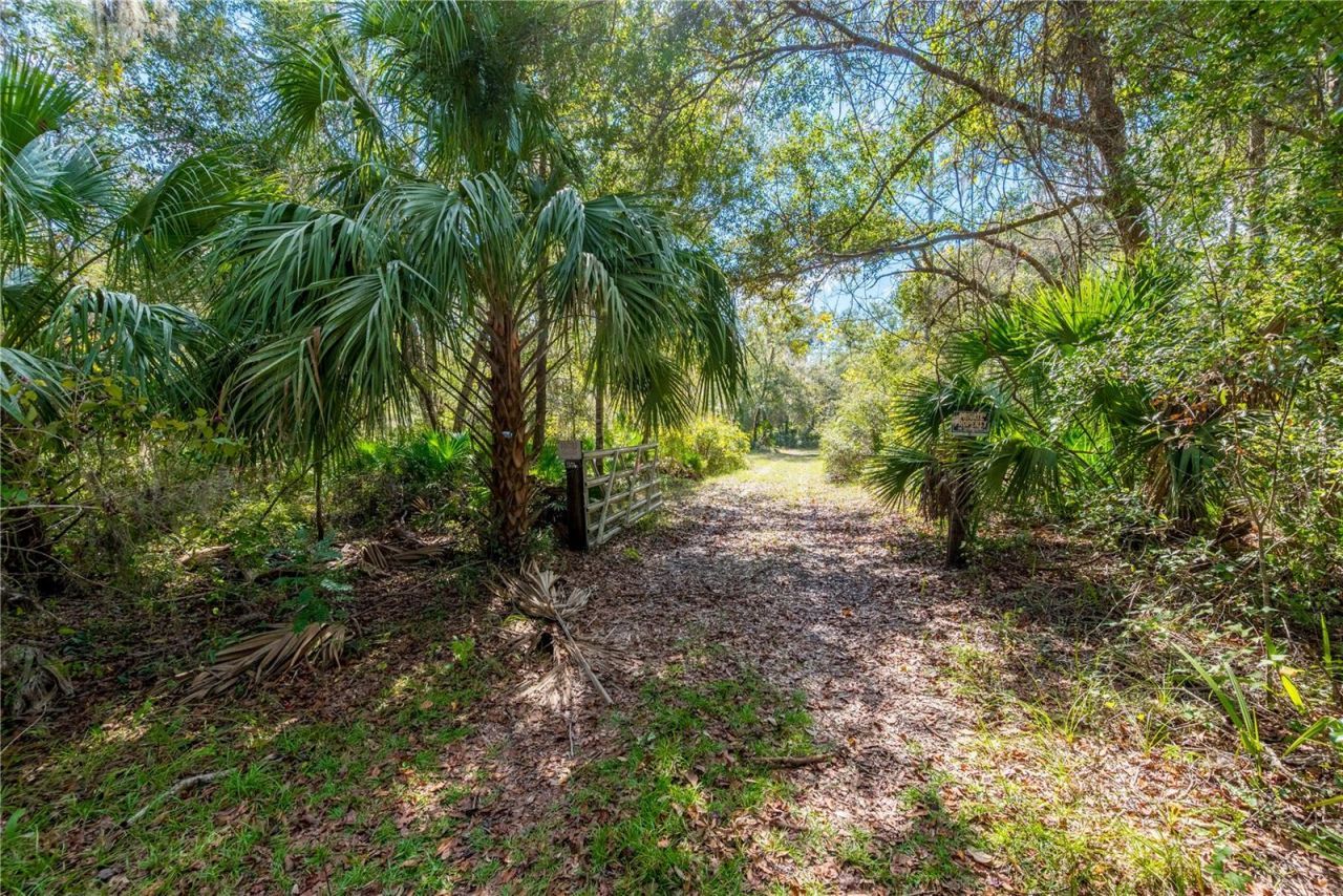 6550 SW 100th Court, Cedar Key, FL 32625 Photo