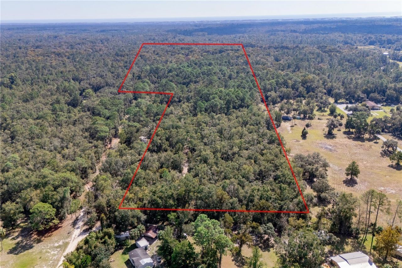 6550 SW 100th Court, Cedar Key, FL 32625 Photo