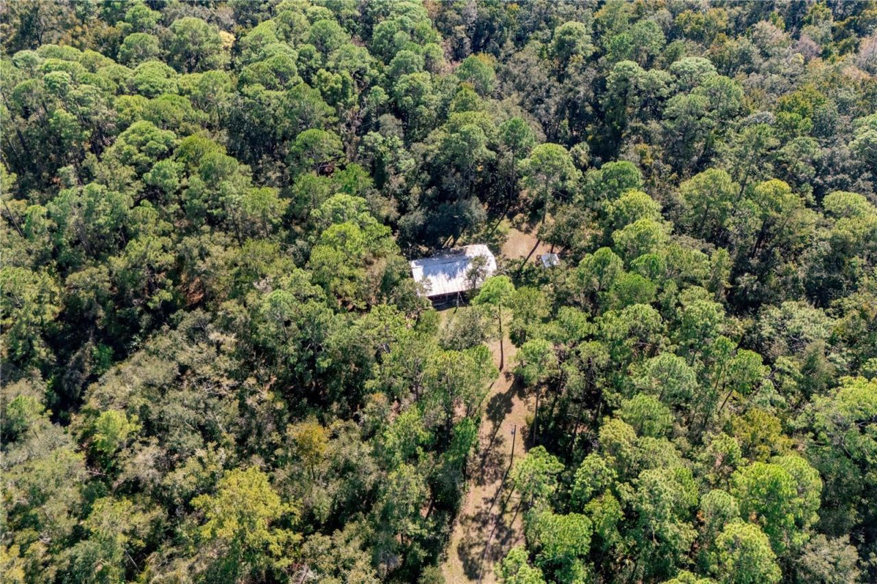 6550 SW 100th Court, Cedar Key, FL 32625 Photo