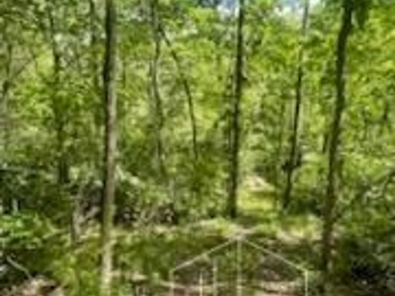 2464 Oxford Middletown Road, Milford Twp, OH 45013 Photo 26