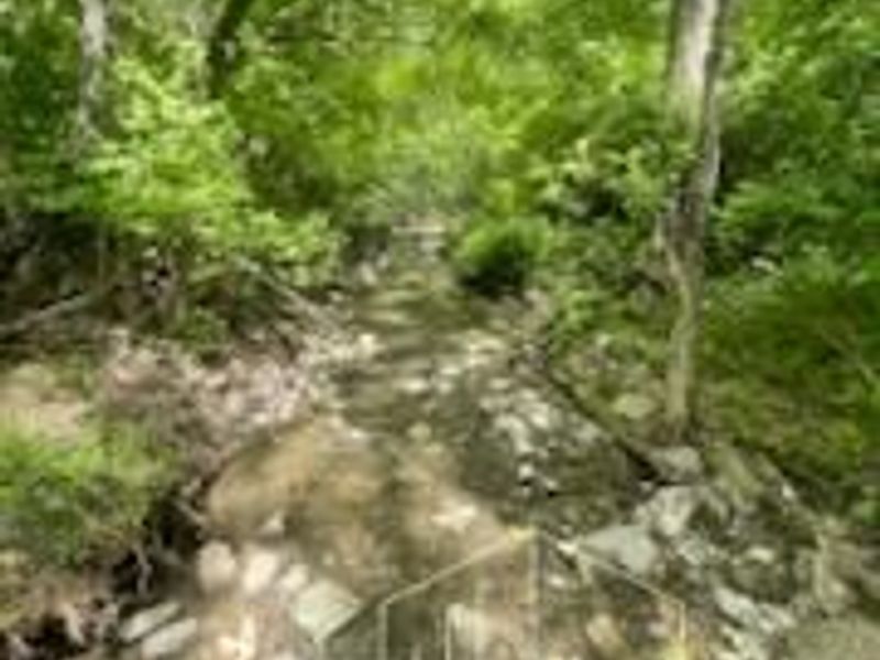 2464 Oxford Middletown Road, Milford Twp, OH 45013 Photo 27