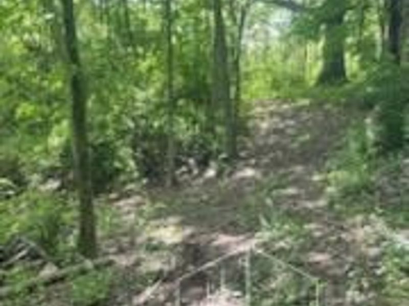 2464 Oxford Middletown Road, Milford Twp, OH 45013 Photo 28