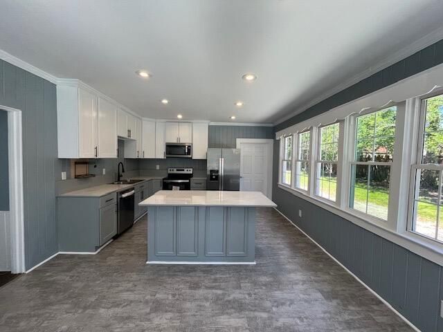 1103 Ellis Avenue Photo 5