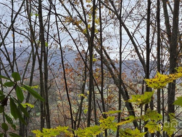 62 Turkey Hollow Court, Waynesville, NC 28785