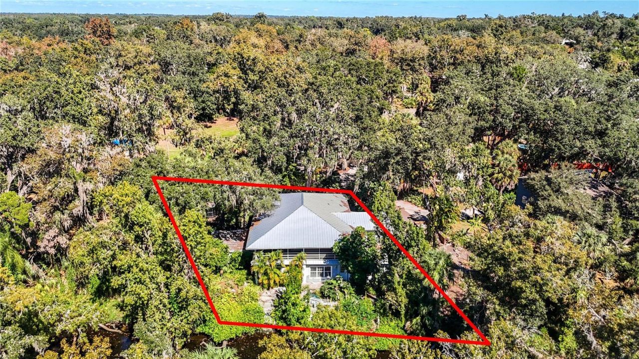 116 Currys Landing Trail, Brandon, FL 33511 Main Photo