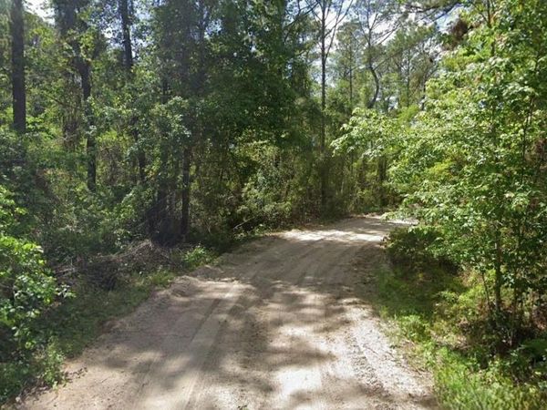 135 BUCKLES DRIVE, PALATKA, FL 32177