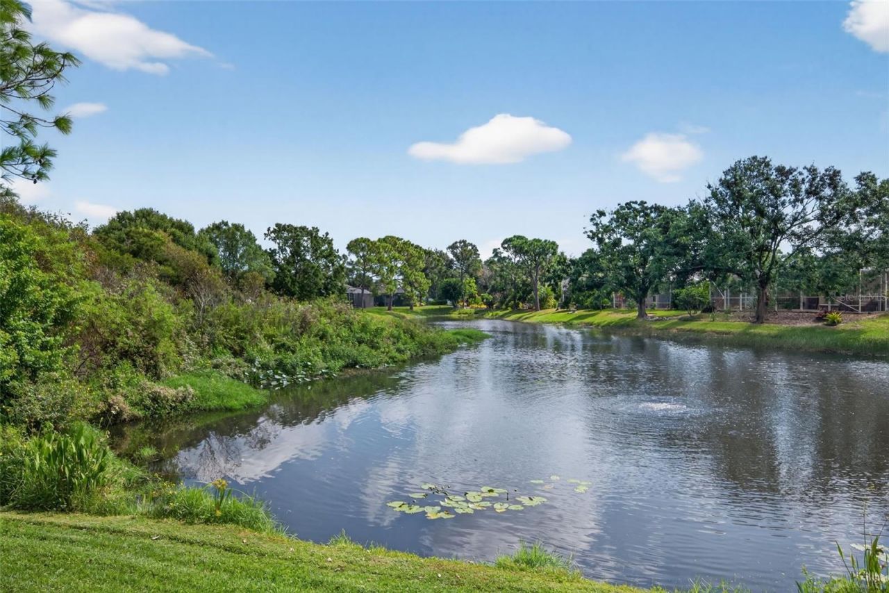 6617 Cheswick Street, Sarasota, FL 34243 Photo