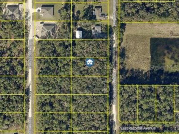 LOT 1021 CAROLINA DOVE ROAD, WEEKI WACHEE, FL 34614