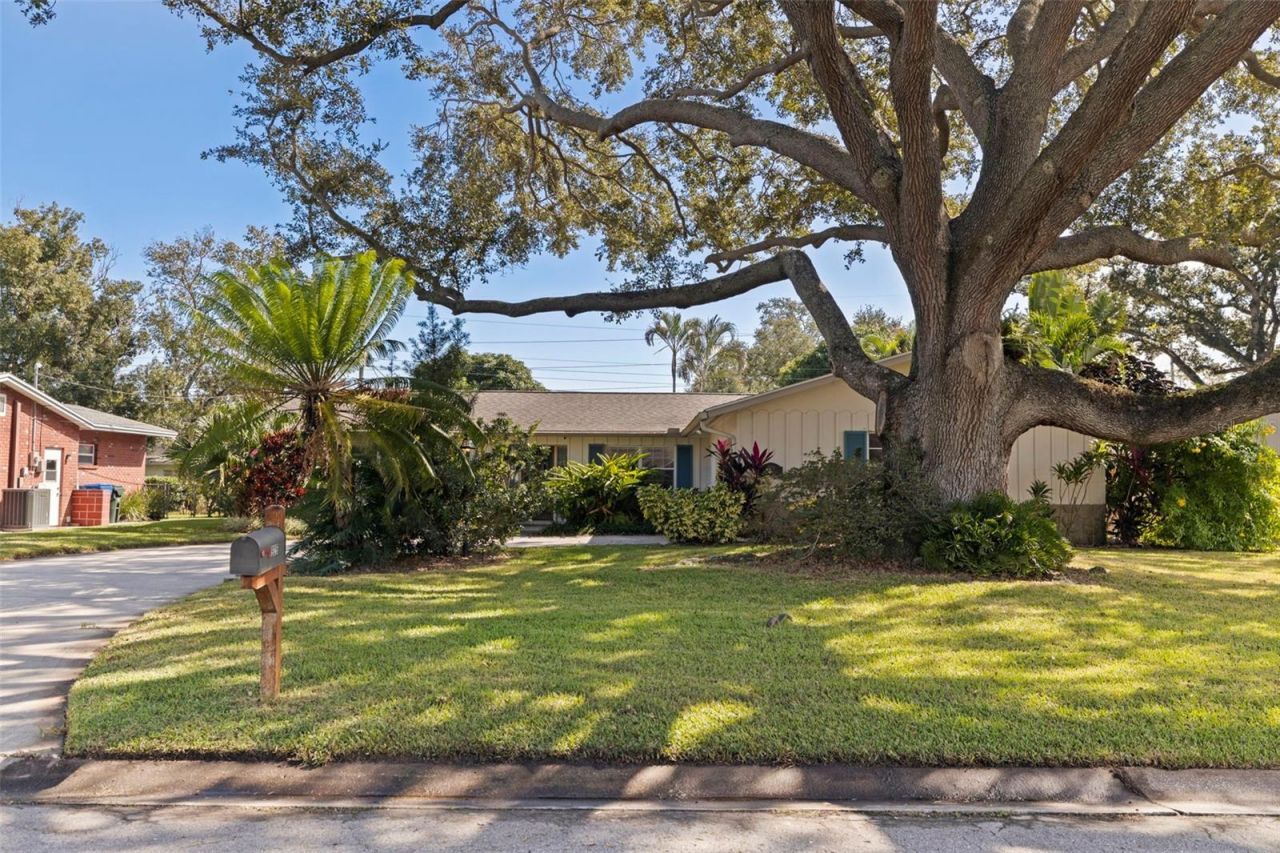 925 Irene Avenue, Largo, FL 33771 Photo