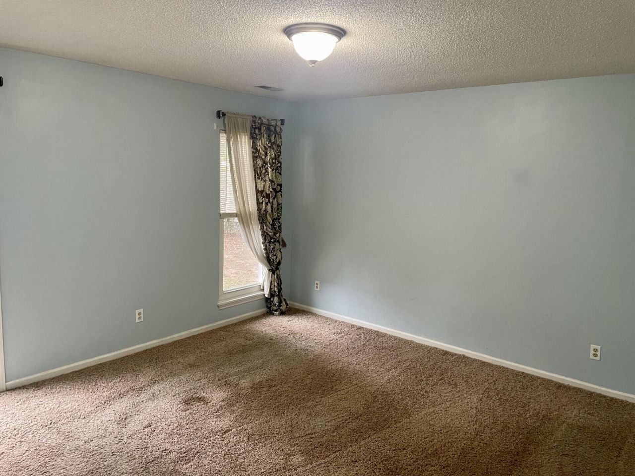 219 Gloria Street Photo 18