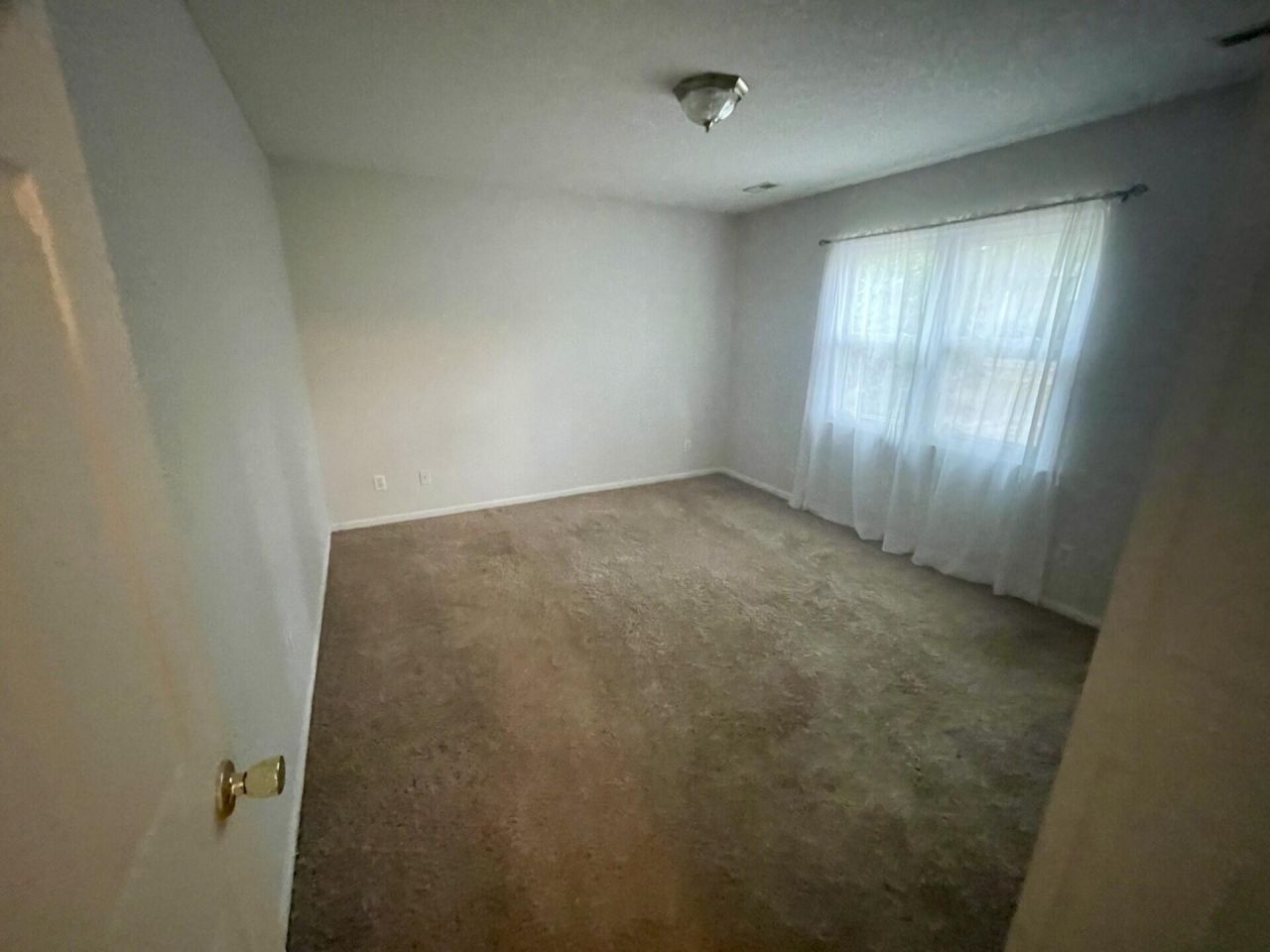 219 Gloria Street Photo 33