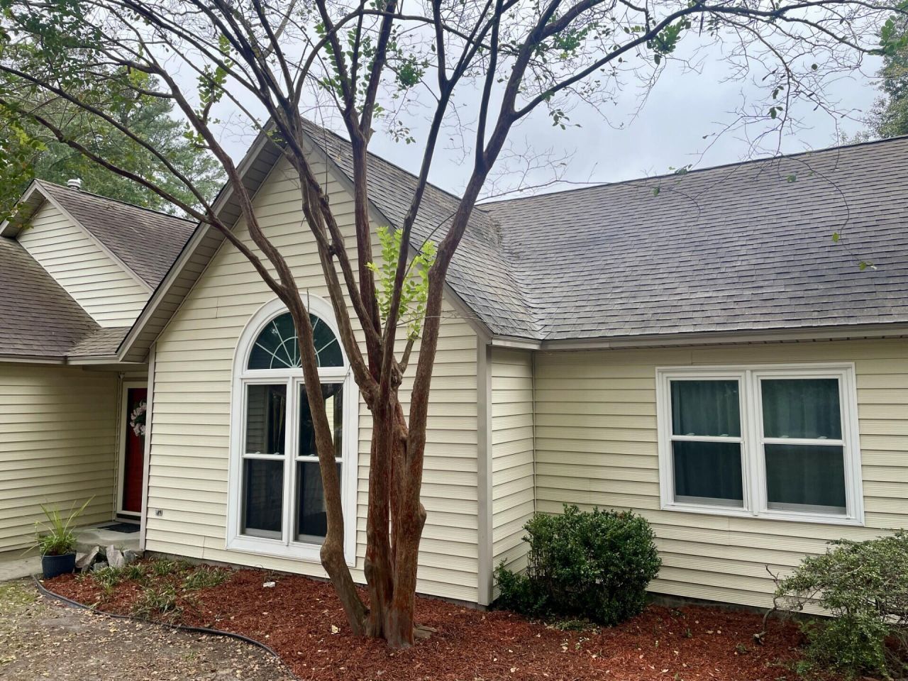 219 Gloria Street Photo 8