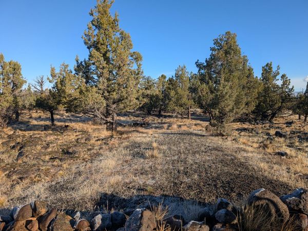 Cedar Trails, Unit Lot 4, Keno, OR 97627