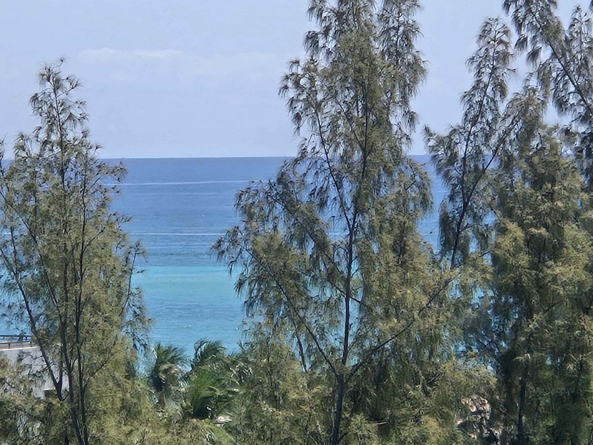 3000 Holiday Drive, Unit 1104, Fort Lauderdale, FL 33316 Photo