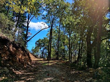 0 Mount Horeb Road, Amherst, VA 24521