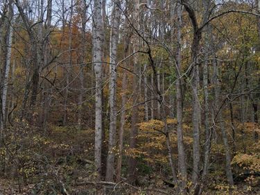 0 North Fork, Amherst, VA 24521