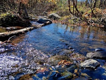 0 North Fork, Amherst, VA 24521