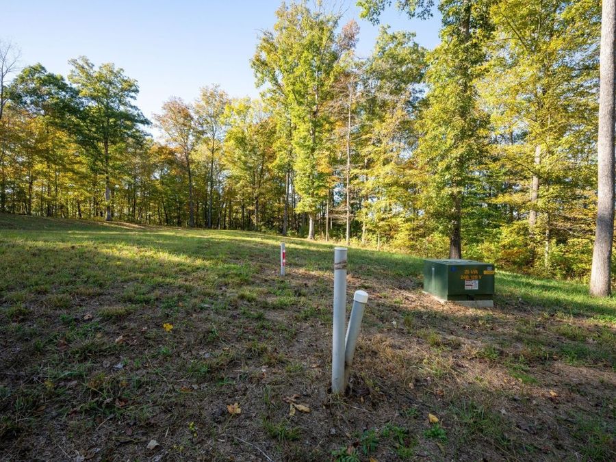 Property Image 59