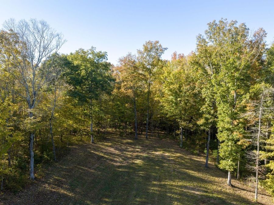 Property Image 61