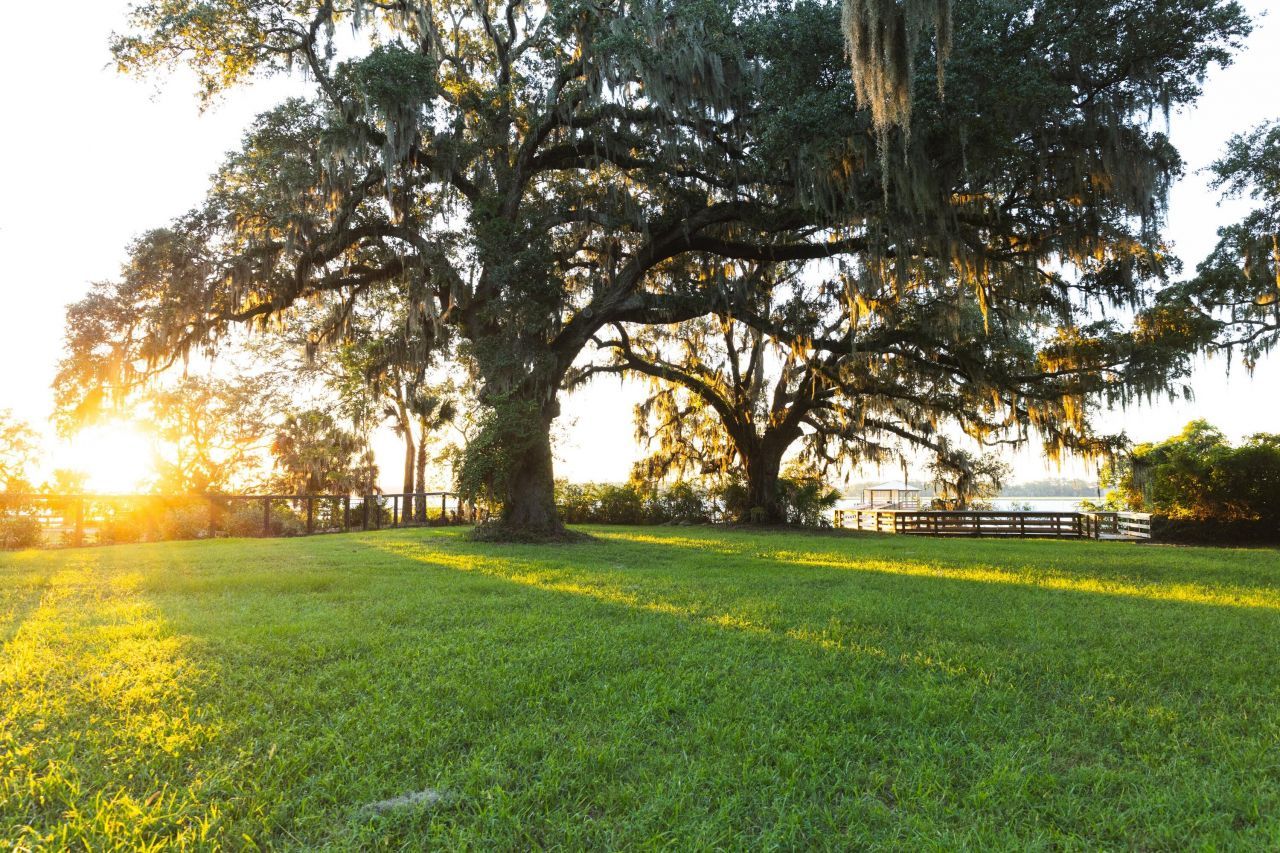 122 Etta Way Photo 13