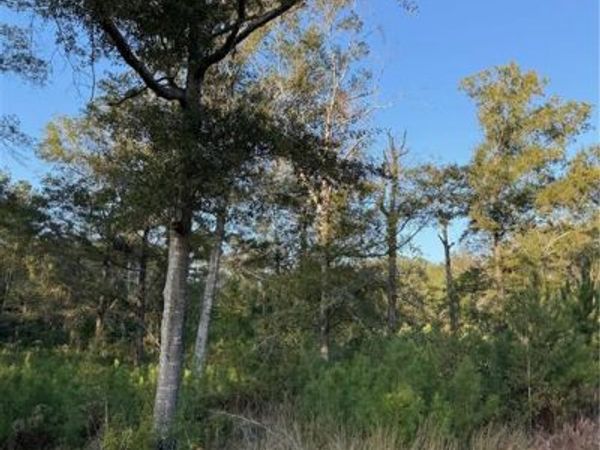 TBD HWY 442 AND HWY 1065, Tickfaw, LA 70466