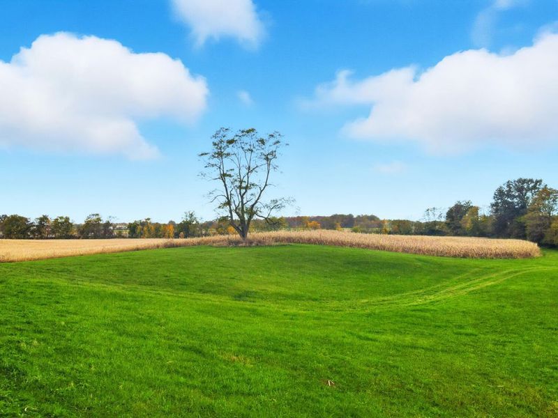 4926 ST RT 42, Mount Gilead, OH 43338 Photo 68