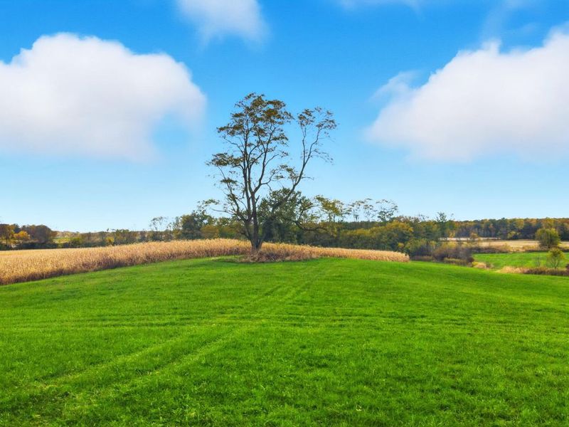 4926 ST RT 42, Mount Gilead, OH 43338 Photo 69