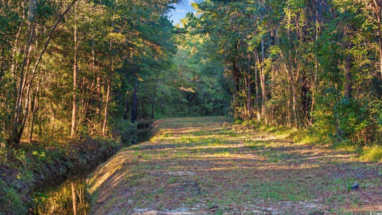 Tbd Mahalia Dr.  Photo 13